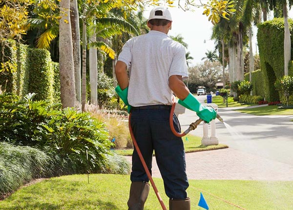 About Denver MO Pest Control